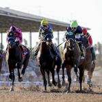 Biggest Breeders’ Cup Upset for Every World Championships Race